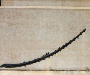 Palme avant
