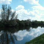 Canal de l’Yser à Zuydschoote (mai 2014)