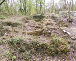 Ruines de l’ancienne Eglise de Cerny
Dans une crypte, sous l’Eglise, se trouverait le sarcophage de St Rémy.