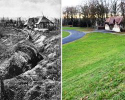 Les graviaires
1919 – Mai 2015